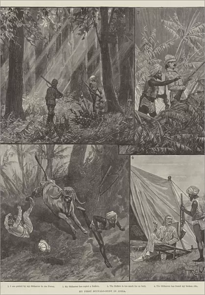 My First Buffalo-Hunt in India (engraving)