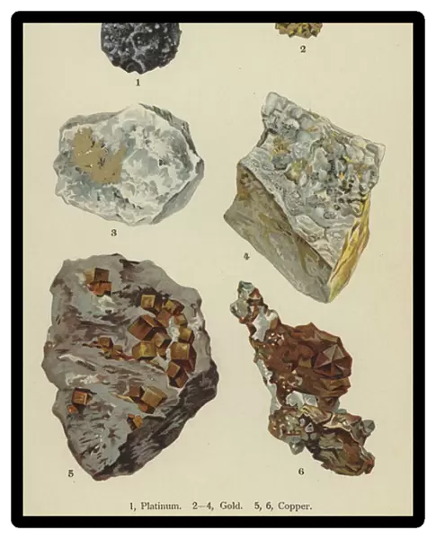 Metallic elements, platinum, gold, copper (colour litho)