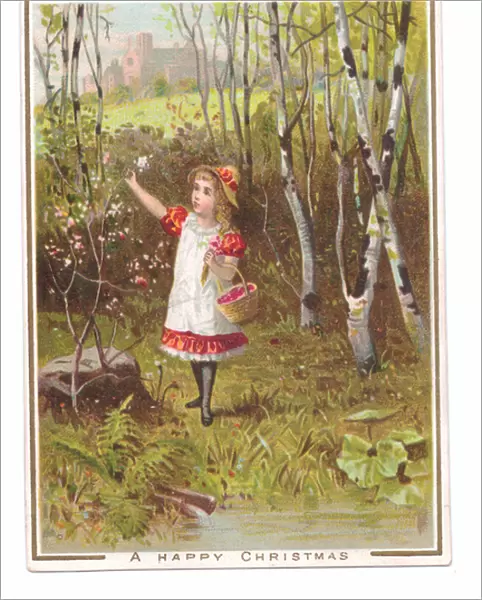 A Victorian Christmas card of a girl with a basket on her arm picking flowers in a forest