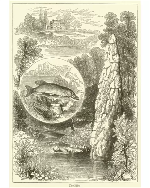 The Pike (engraving)