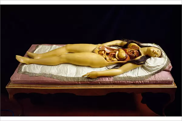 The Dismantable Venus, anatomical model (wax)