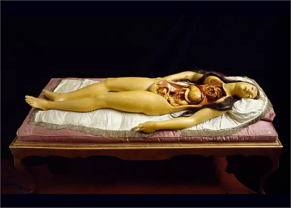 The Dismantable Venus, anatomical model (wax)
