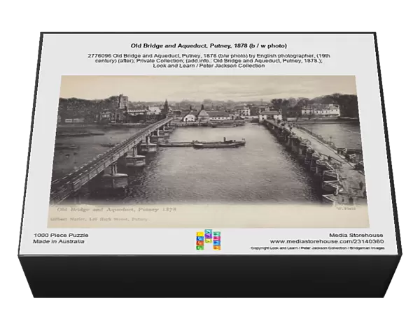 Old Bridge and Aqueduct, Putney, 1878 (b  /  w photo)