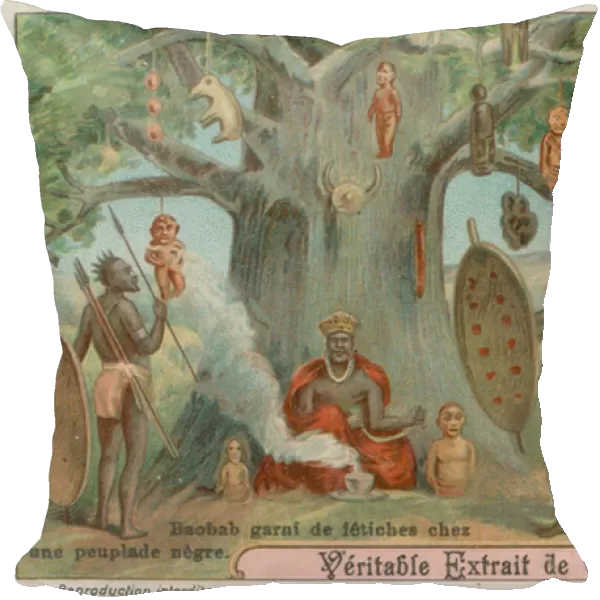 Baobab Tree hung with fetishes by an African tribe (chromolitho)