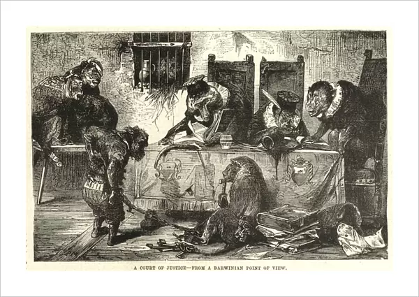 A court of justice from a Darwinian point of view (engraving)