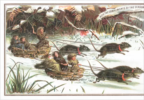 Urchins having a sledge Rat Race, Christmas Card (chromolitho)