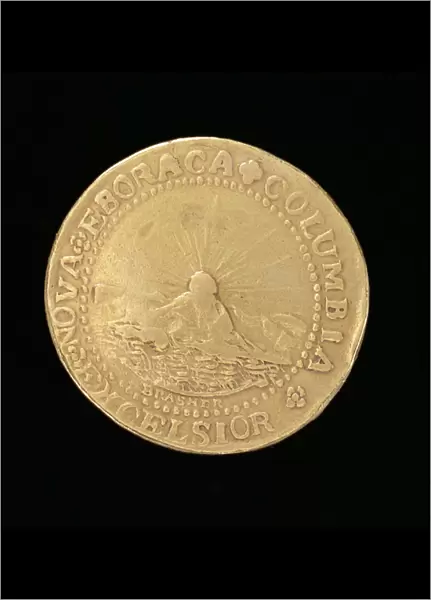 Brasher Doubloon, New York, 1787 (gold) (also see 343637)