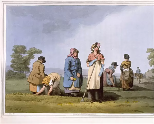Lowkers, engraved by Robert Havell the Elder, published 1814 by Robinson and Son