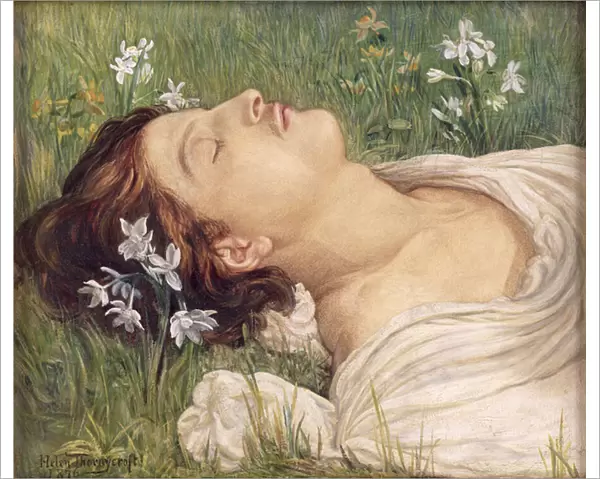 Narcissus, 1876 (w  /  c)