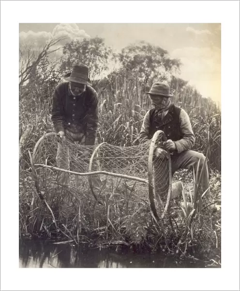 Setting the Bow Net, Life and Landscape on the Norfolk Broads, c. 1886, (photo)