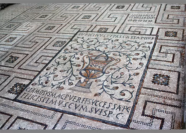 Detail of floor of the original basilica (mosaic)