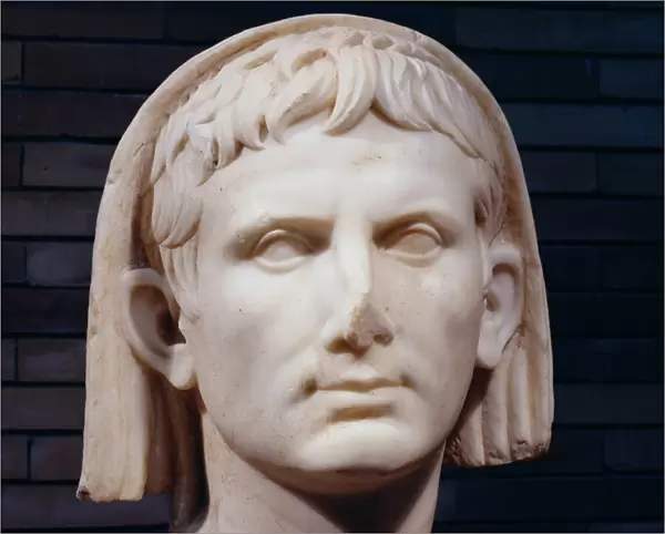 Veiled head of Emperor Augustus (marble) (detail of 696582)