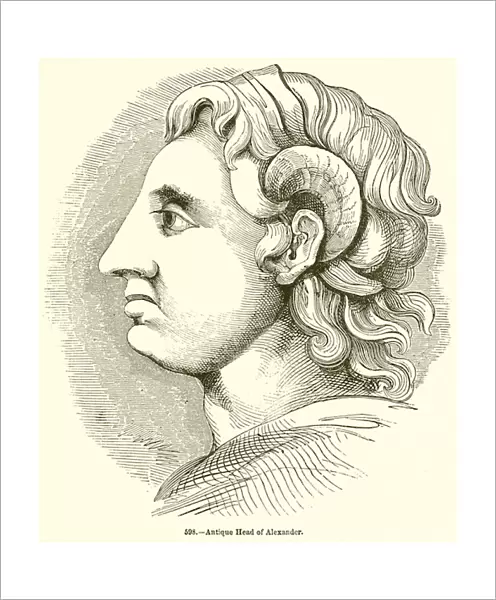 Antique Head of Alexander (engraving)