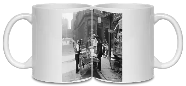 Clam seller in Mulberry Bend, N. Y. c. 1900 (b  /  w photo)