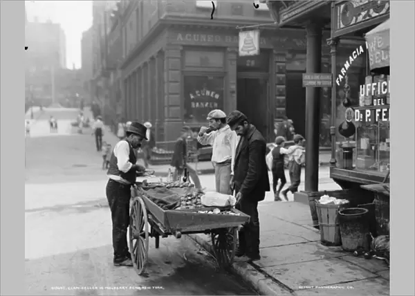 Clam seller in Mulberry Bend, N. Y. c. 1900 (b  /  w photo)