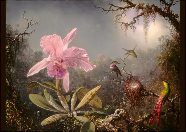 Cattleya Orchid and Three Hummingbirds, 1871 (oil on wood)