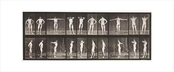 Plate 529. Various Poses, 1872-85 (collotype on paper)