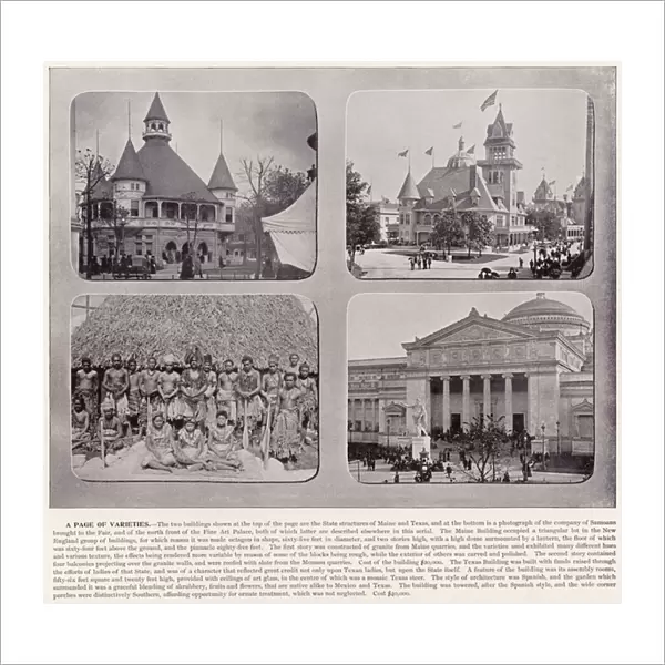 Chicago Worlds Fair, 1893: A Page of Varieties (b  /  w photo)