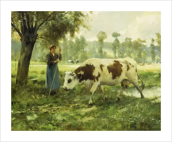 Cows at Pasture (oil on canvas)