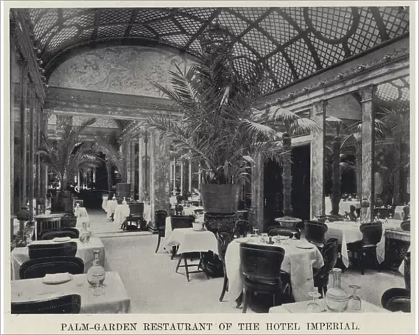 Palm-Garden Restaurant of the Hotel Imperial (b  /  w photo)