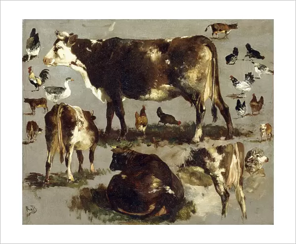Studies of Cows, Hens, Roosters, a Goose and a Sheep, (oil on canvas)
