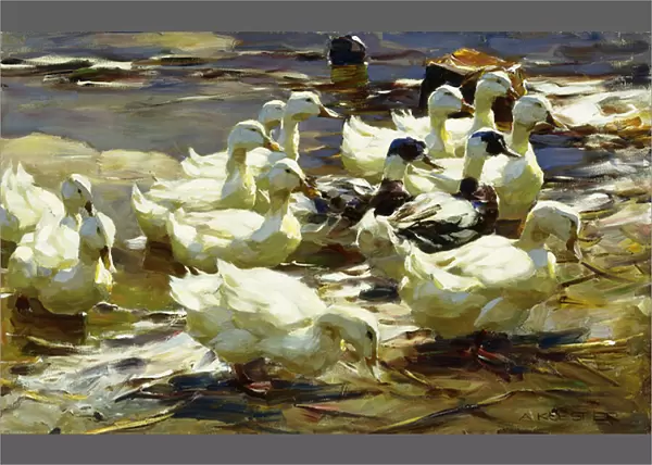 Ducks in the Pond; Enten im Teich, (oil on canvas)