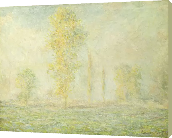 The Prairie in Giverny; La Prairie a Giverny, 1888 (oil on canvas)