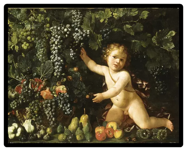 Grapes on the vine, pomegranates, grapes, and rosehips in a basket, with figs, apples