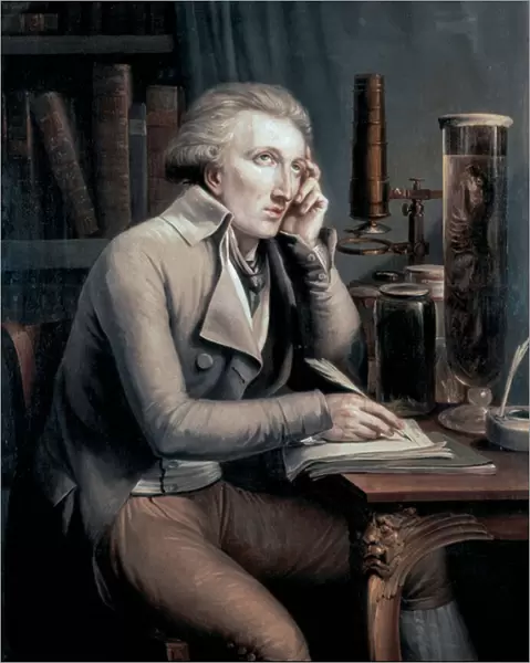 Portrait of Georges Leopold Cuvier, 1798