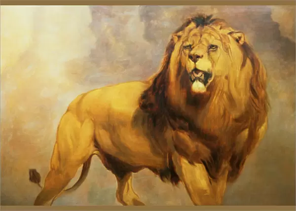 Lion. GG74994 Lion by Huggins, William (1820-84); 94x137 cm; Private Collection;