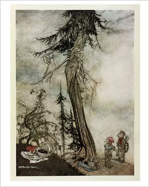 The Fir-Tree and the Bramble, illustration from Aesops Fables