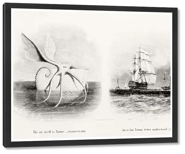 A giant squid and two ships at sea, engraved by George Cooke (1781-1834) (engraving