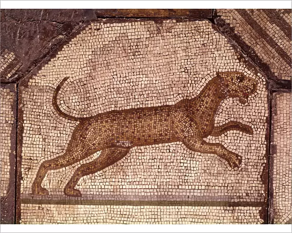 A Leopard, detail from Orpheus Charming the Animals (mosaic)