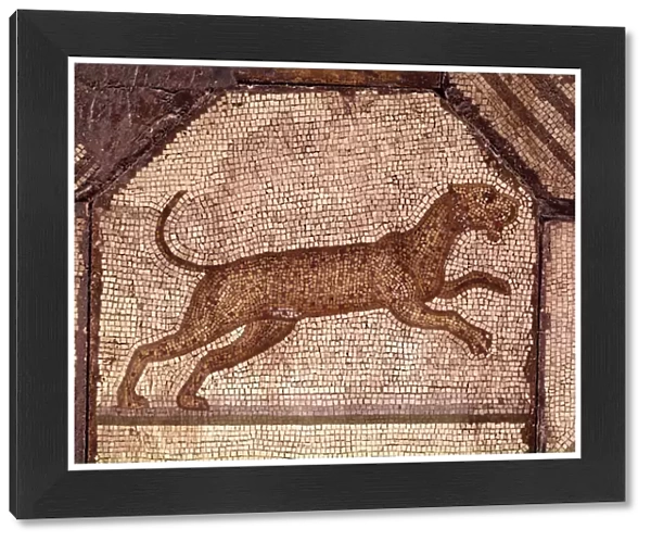 A Leopard, detail from Orpheus Charming the Animals (mosaic)