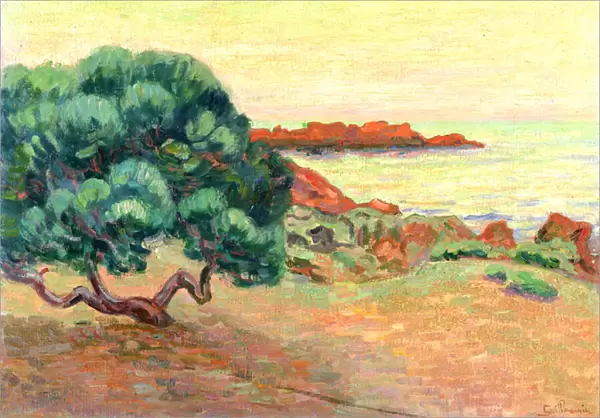 Midi Landscape, 1898 (oil on canvas)