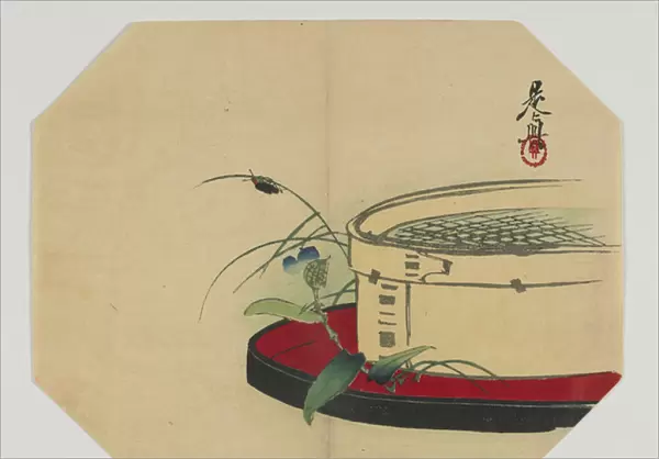 Print for an uchiwa; firefly on flowering plant, with bamboo sieve, Meiji era