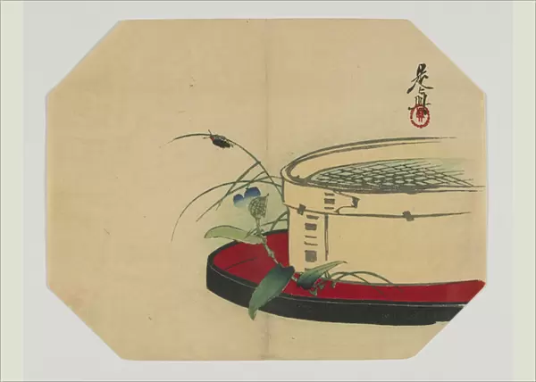 Print for an uchiwa; firefly on flowering plant, with bamboo sieve, Meiji era