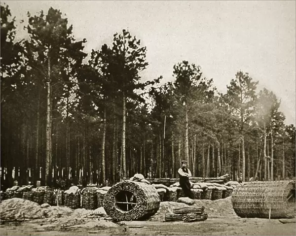 Making Gabions in front of Petersburg, 1861-65 (b  /  w photo)