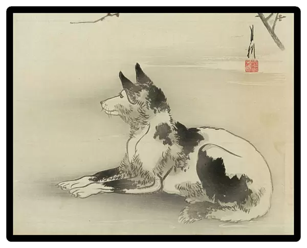 Black and white dog, 1910 (colour woodblock print)