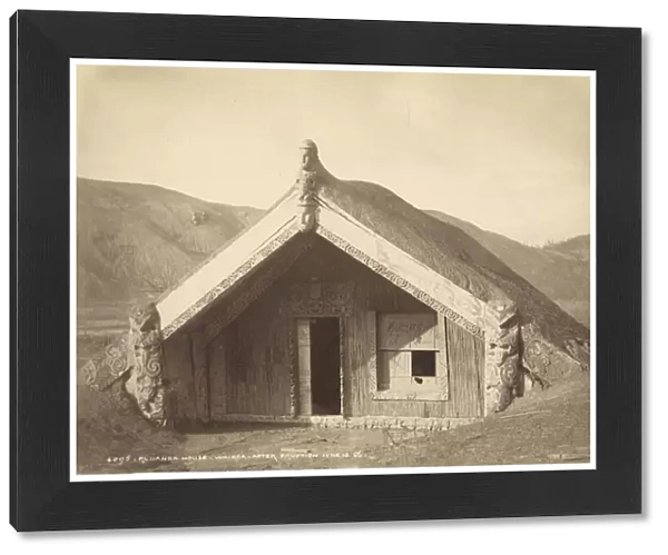 Runanga House - Wairoa - After Eruption Jun 10. 86, July 1886 (albumen print)