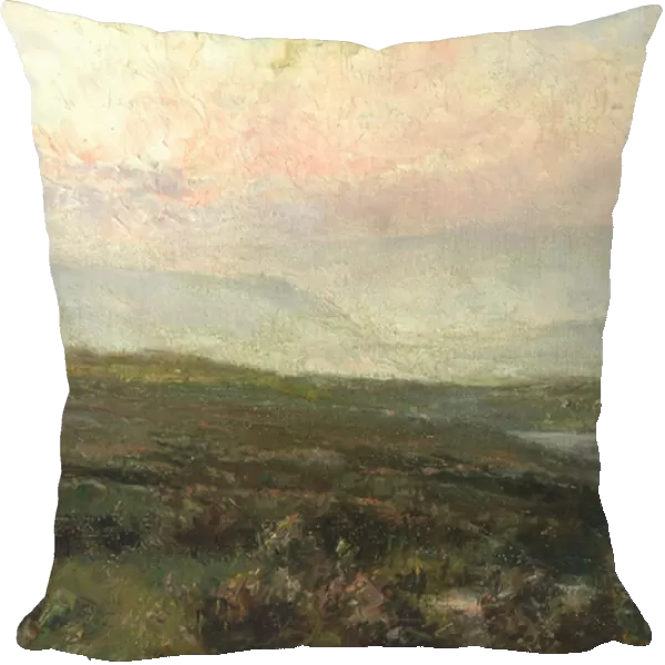 Moorland Scene (oil on canvas)