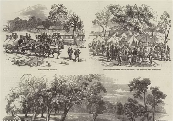 The Gold Fever in California and Australia (engraving)
