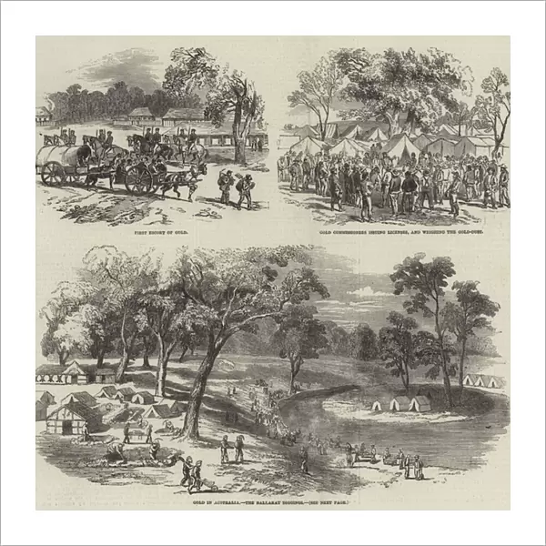 The Gold Fever in California and Australia (engraving)