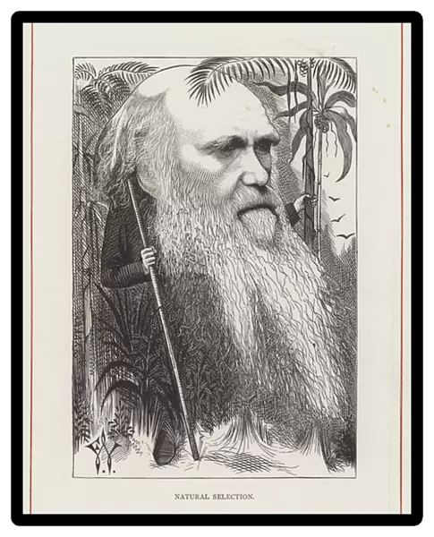 Charles Darwin, Natural Selection (engraving)