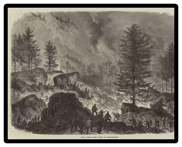 Great Fire in the Forest of Fontainebleau (engraving)