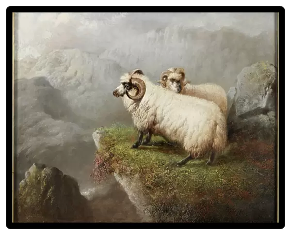Sheep on a Cliff Edge, c. 1865-68 (oil on canvas)