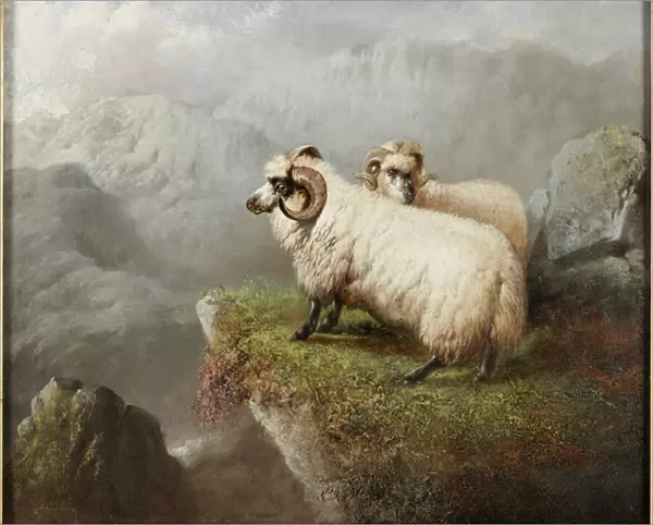 Sheep on a Cliff Edge, c. 1865-68 (oil on canvas)