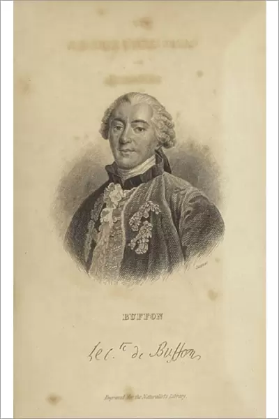 Georges-Louis Leclerc, Comte de Buffon (engraving)
