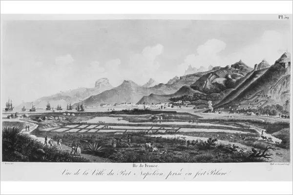Island of France (Mauritius), view of Port-Napoleon (b  /  w engraving)