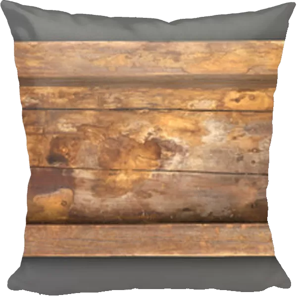 Coffin of Senbi, Middle Kingdom, c. 1918-1859 BC (gessoed & painted cedar)